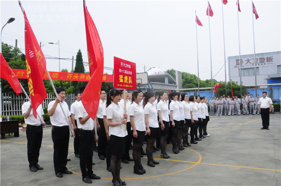 大衛(wèi)第十七屆運動會隆重舉行.jpg
