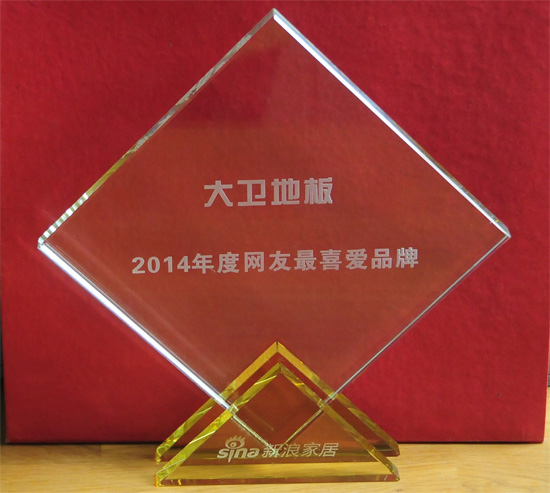 大衛地板被授予“2014年度網友最喜愛品牌”殊榮.jpg