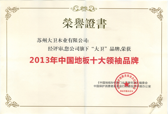 大衛(wèi)地板榮獲“2013年中國地板十大領袖品牌”.jpg