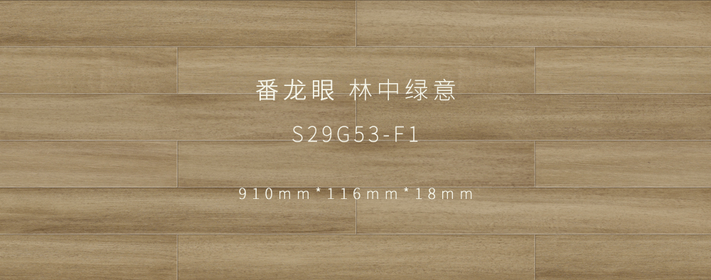 林中綠意.jpg
